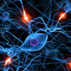 Illustration for article titled New wonder-drug could give us all super-memory